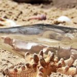 message-in-a-bottle